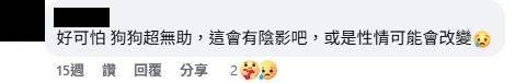 Re: [問卦] 送愛犬去寵物旅館 被公狗強姦