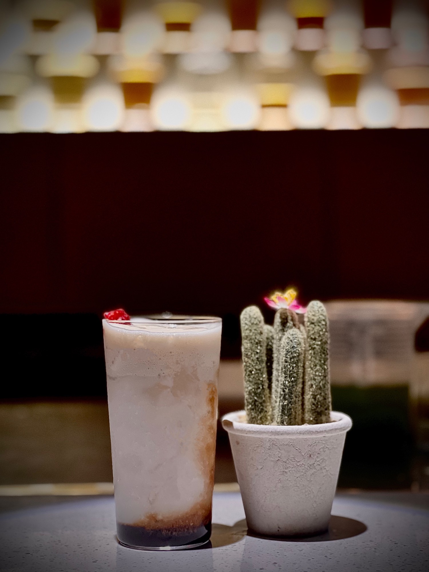 Cactus Bar