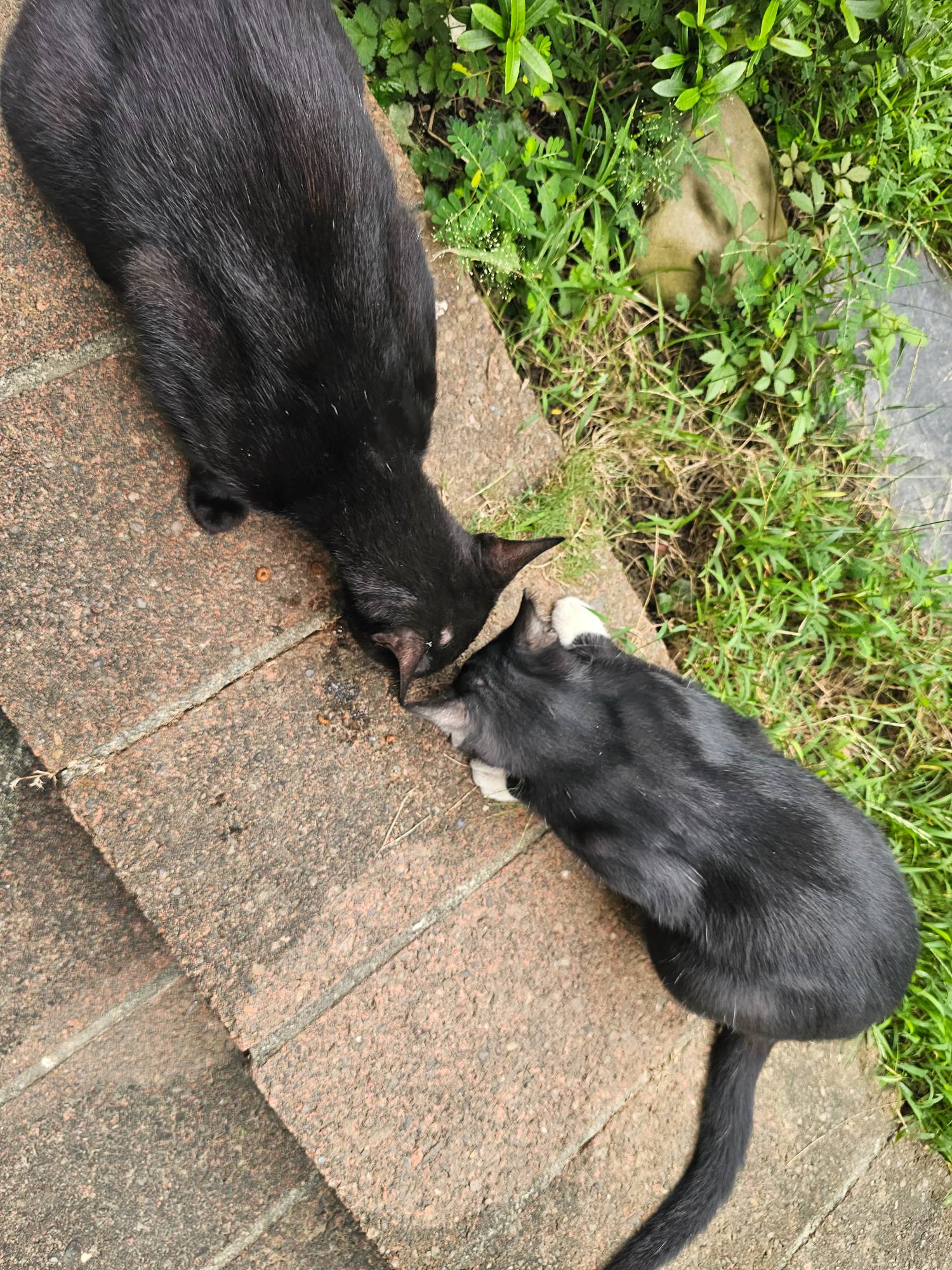 Re: [問卦] 726如果颱風假 停止上班上課 還投嗎