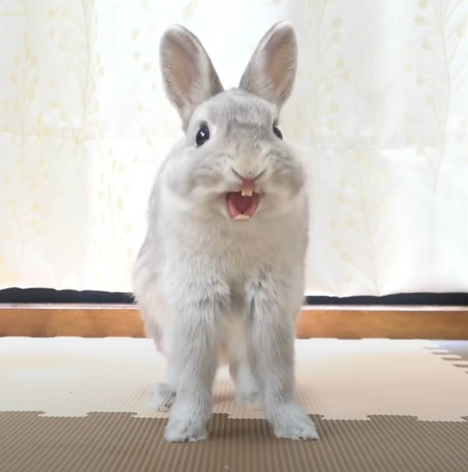 [問卦] 如果造假高中生重考上台大醫學系會怎樣