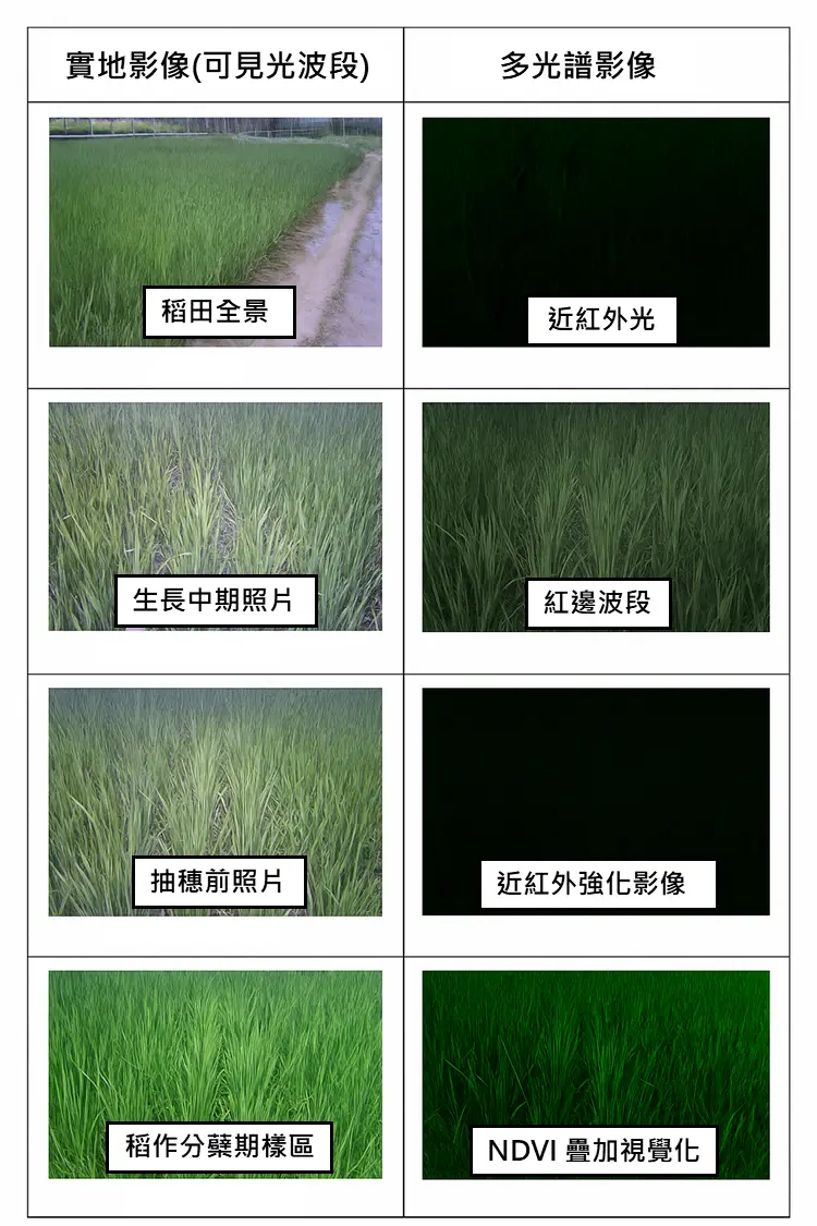北溝田區多光譜樣照對照圖