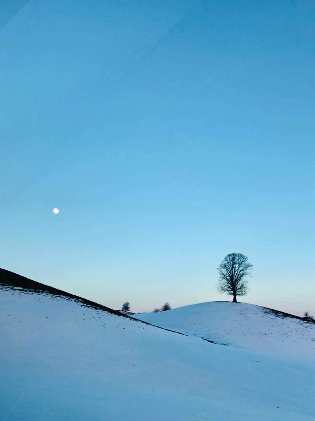 ”點擊放大” ”AA”