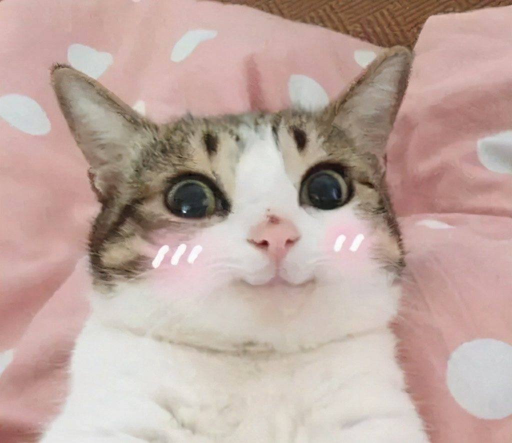 [問卦] 全麻醒來覺得超舒服正常嗎？ - 八卦 - PTT.BEST 批踢踢爆文