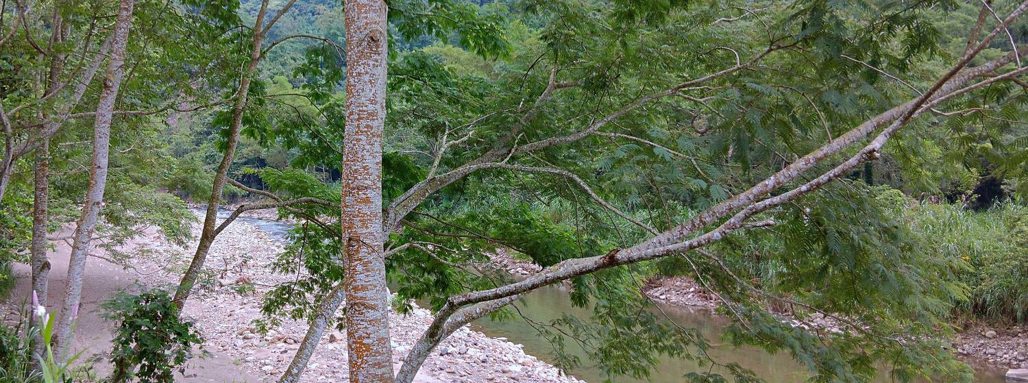 Re: [問卦] 沖繩在日本算是第幾好玩的?