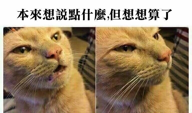 [閒聊] 自從我把胸部畫得比臉還大之後 - 希洽 - PTT.BEST 批踢踢爆文 2