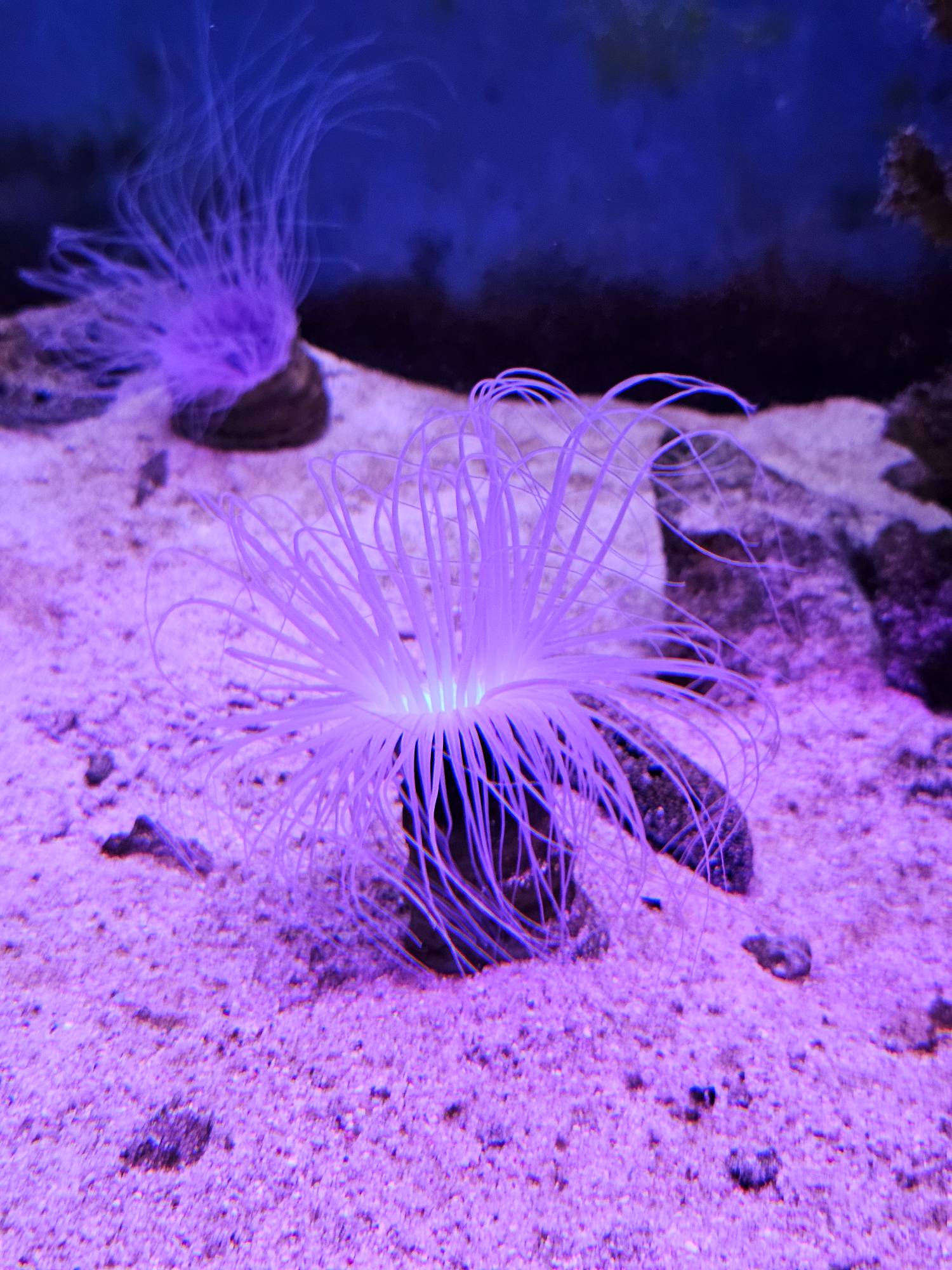 圖 251006 澄清湖主場