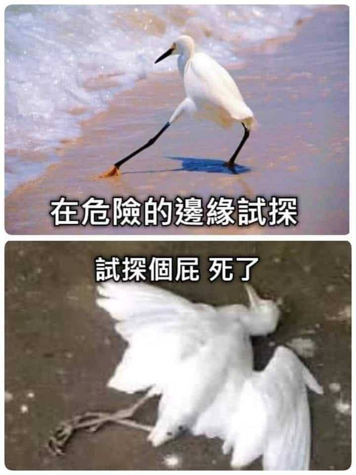 圖 FF14 為什麼台灣人這麼愛取黑人ID