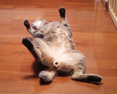 [問卦] 為什麼不改廣體客機？