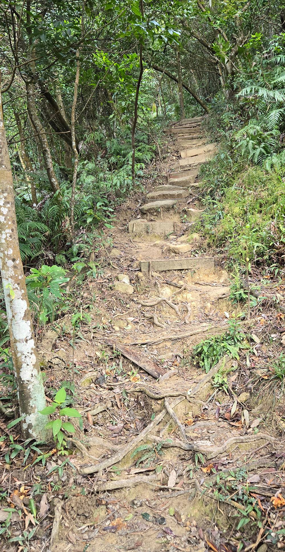 圖 小金面山—西湖山小O型