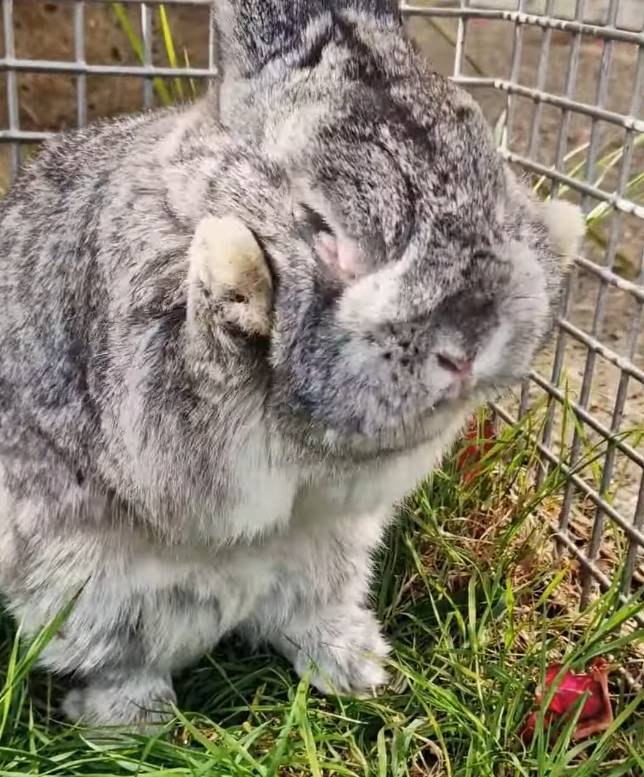 Re: [問卦]  大家有沒有想過飛彈來了要往哪跑？
