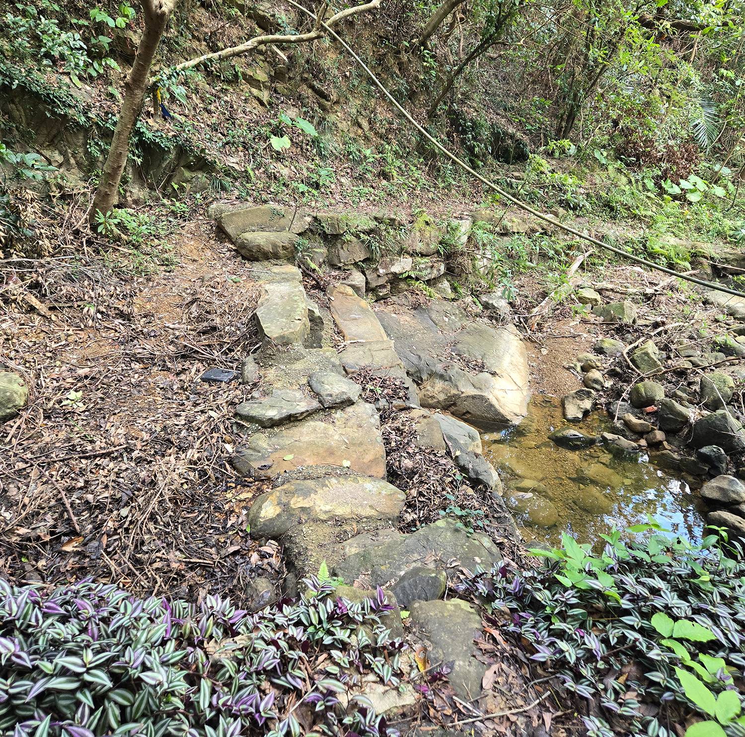 圖 小金面山—西湖山小O型