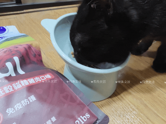 貓奴。寵物飲食控制飼料推薦:Pawful陪飽糧開箱!結紮貓吃陪心寵糧評價分享。 - 第23張圖 貓奴。寵物飲食控制飼料推薦:Pawful陪飽糧開箱!結紮貓吃陪心寵糧評價分享。