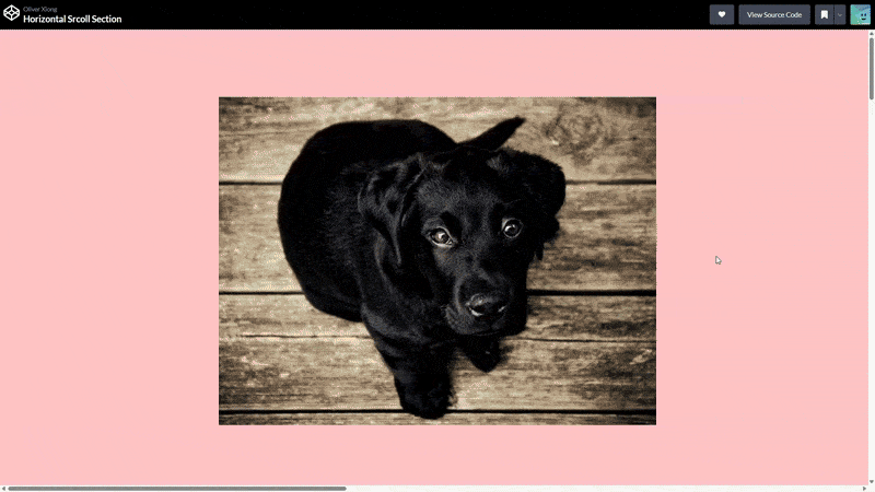 Horizontal Scroll Section Horizontal Scroll Section