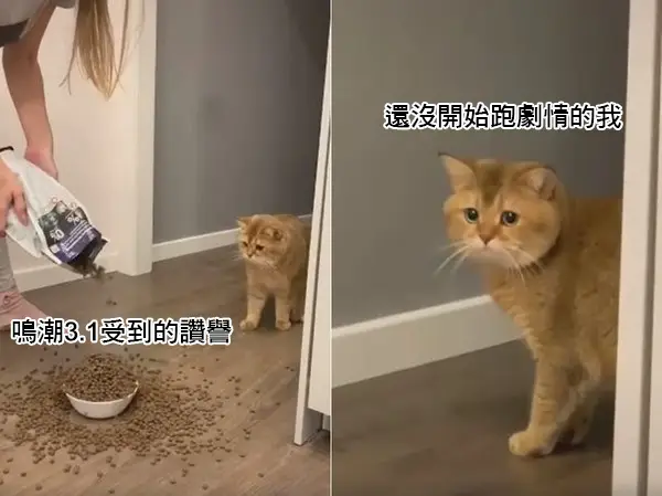 [鳴潮] 小愛 6+1 發錢 - 希洽 - PTT.BEST 批踢踢爆文