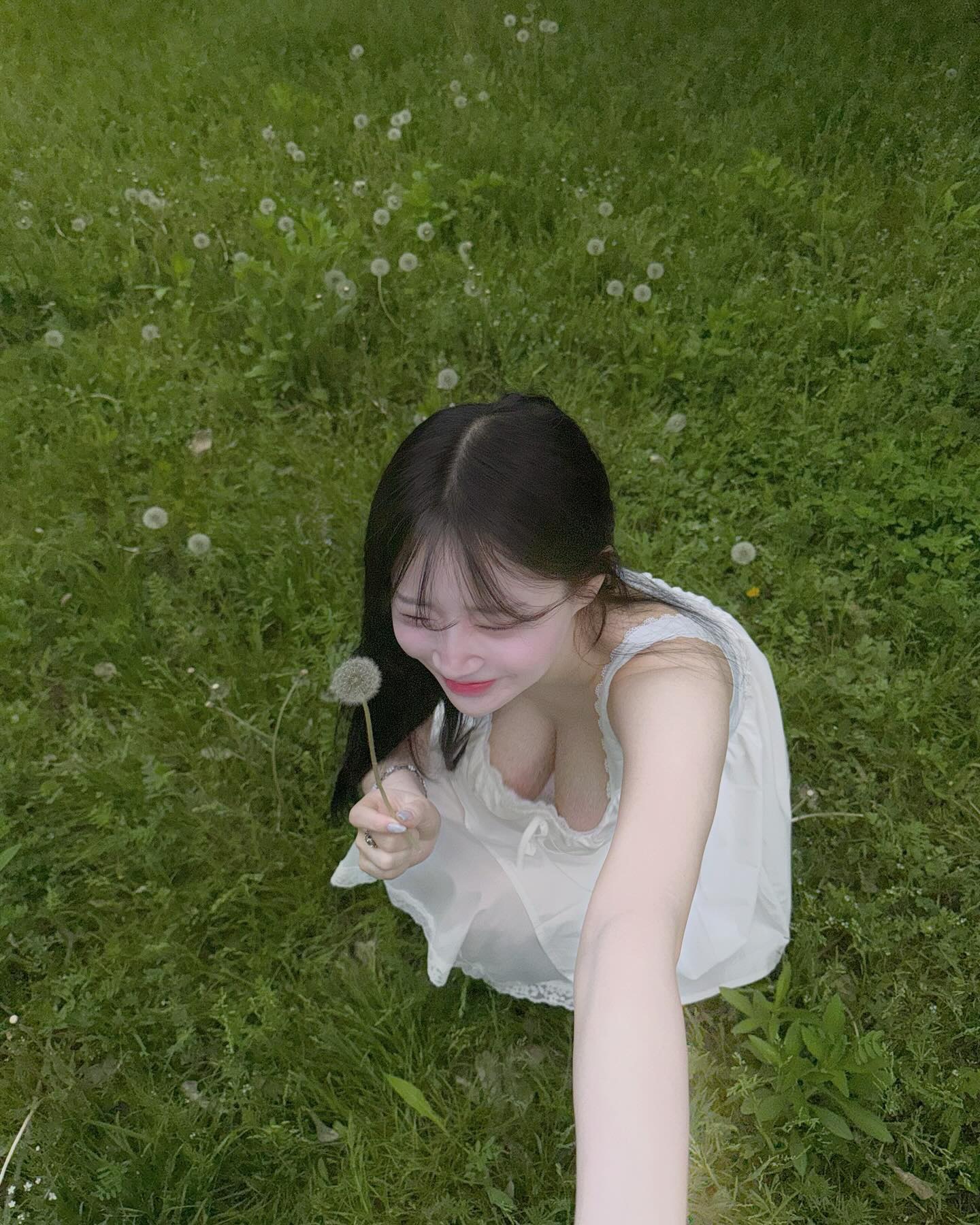 [問卦] 滿地小草怎麼辦？